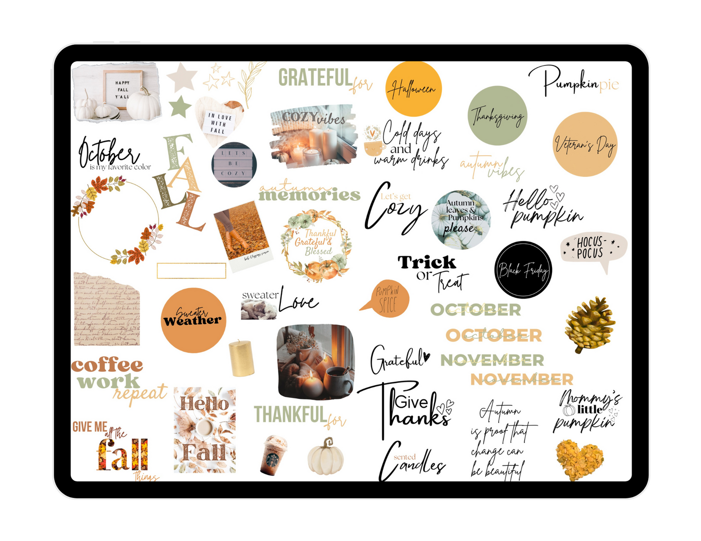 Fall Favorites