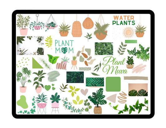 Plant Life