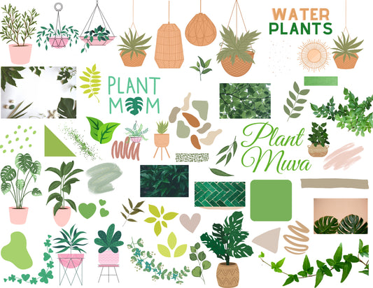 Plant Life